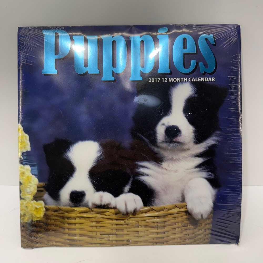 Greenbrier International Puppies 2017 12 Month Wall Calendar 243113 Dog Photos